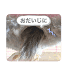 うめちゃんさん！のスタンプ（個別スタンプ：10）
