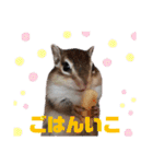 うめちゃんさん！のスタンプ（個別スタンプ：20）