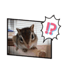 うめちゃんさん！のスタンプ（個別スタンプ：27）