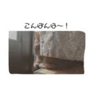 ねこたんねこまんスタンプ40個入り（個別スタンプ：18）