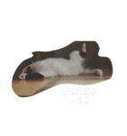 ねこたんねこまんスタンプ40個入り（個別スタンプ：23）