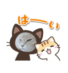 ねこたんねこまんスタンプ40個入り（個別スタンプ：40）