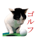 でれこ（個別スタンプ：10）