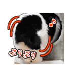 でれこ（個別スタンプ：13）