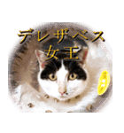 でれこ（個別スタンプ：15）
