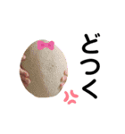 写真ネタ-まとめ-ver（個別スタンプ：13）