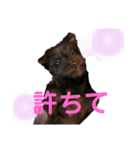 DAM太郎2（個別スタンプ：37）