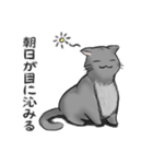 尊大な猫（個別スタンプ：5）