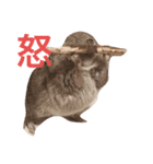 i‘mはなちゃん（個別スタンプ：5）