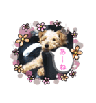 10代が使う言葉（個別スタンプ：3）
