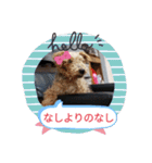 10代が使う言葉（個別スタンプ：6）