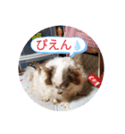 10代が使う言葉（個別スタンプ：11）