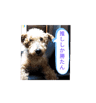 10代が使う言葉（個別スタンプ：13）