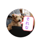 10代が使う言葉（個別スタンプ：14）