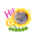 はなちゃんファム（個別スタンプ：2）