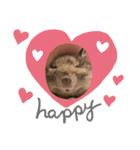 はなちゃんファム（個別スタンプ：3）