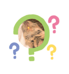 はなちゃんファム（個別スタンプ：4）
