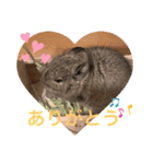 はなちゃんファム（個別スタンプ：5）
