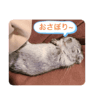 はなちゃんファム（個別スタンプ：7）
