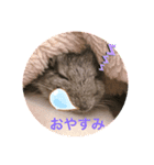 はなちゃんファム（個別スタンプ：8）