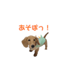 まいにちちゃおくん♡（個別スタンプ：9）