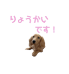 まいにちちゃおくん♡（個別スタンプ：14）