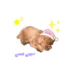 マックス＆エクレ（個別スタンプ：1）