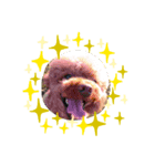 マックス＆エクレ（個別スタンプ：6）