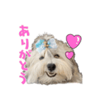 Mei♡スタンプ(日常)（個別スタンプ：1）