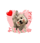 Mei♡スタンプ(日常)（個別スタンプ：4）