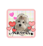 Mei♡スタンプ(日常)（個別スタンプ：5）