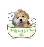 Mei♡スタンプ(日常)（個別スタンプ：13）