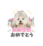 Mei♡スタンプ(日常)（個別スタンプ：15）