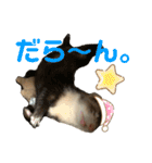 フェレット〈くろすけ〉2（個別スタンプ：18）