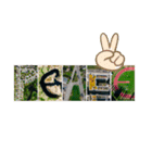 アルファベット地球（個別スタンプ：31）