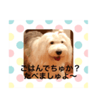 アルマの呟き（個別スタンプ：4）