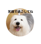 アルマの呟き（個別スタンプ：5）