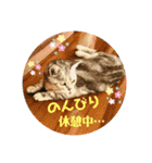 ひめちゃんの日常(ねこスタンプ)（個別スタンプ：11）