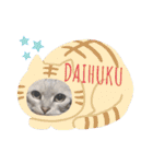 ひめちゃんの日常(ねこスタンプ)（個別スタンプ：12）