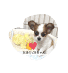 パピチワジャック（個別スタンプ：4）