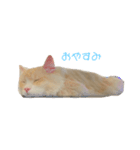 みさの大福（個別スタンプ：2）