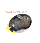 大好き☆ももたん（個別スタンプ：1）