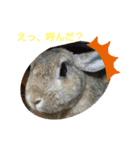 大好き☆ももたん（個別スタンプ：2）