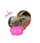 大好き☆ももたん（個別スタンプ：5）
