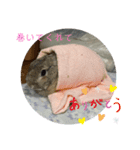 大好き☆ももたん（個別スタンプ：6）