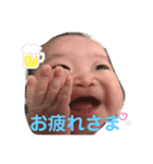 今日のしきくん（個別スタンプ：1）