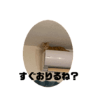 こねいもスタンプ1（個別スタンプ：7）