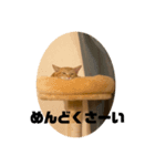 こねいもスタンプ1（個別スタンプ：8）