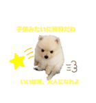 毒吐く犬。ごく稀に天使（個別スタンプ：11）