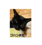 ジュリ＆ココ（個別スタンプ：8）